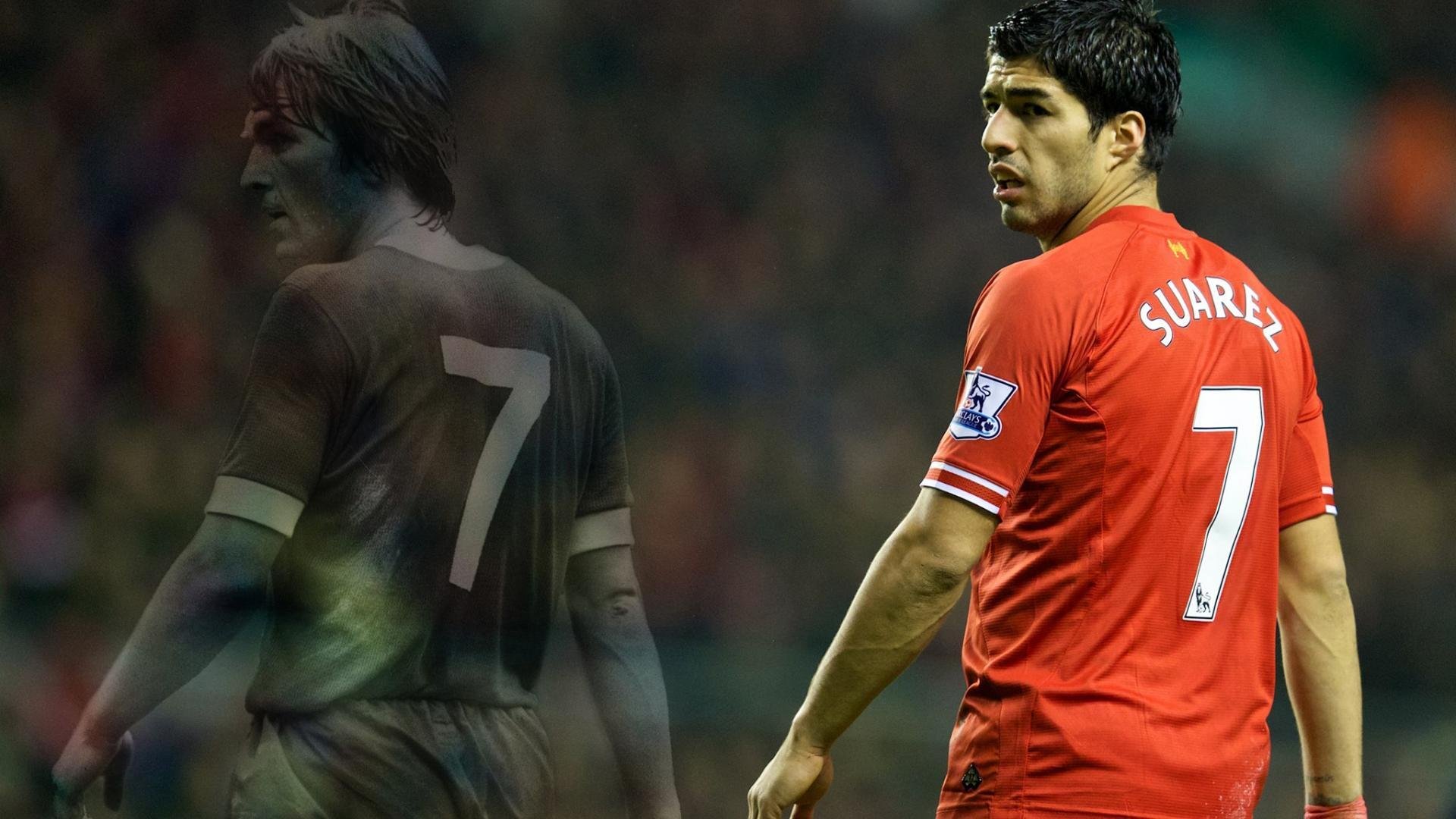 “萨尔·巴赫：南非羚羊队的新希望，老队员的强大支持”