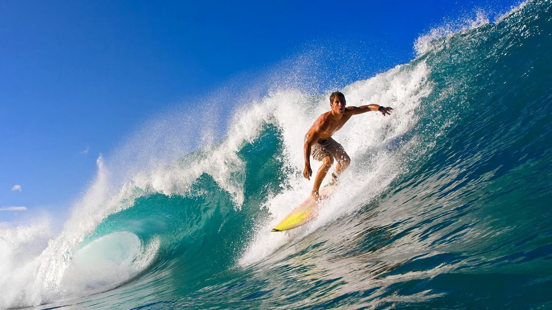 南非橄榄球赛事的商业化操作促进国际影响力扩张,南非橄榄球冠军